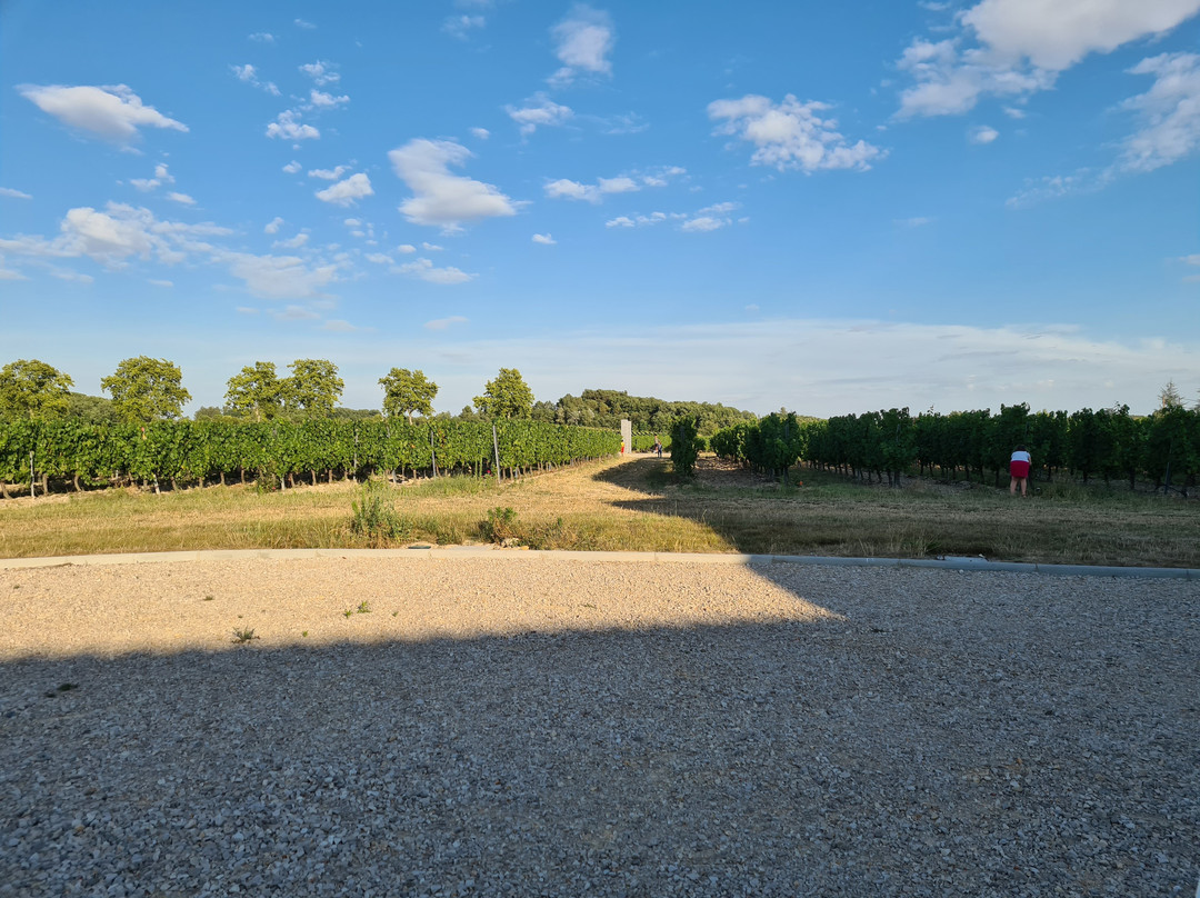 Domaine Carcenac-Montans必去景点