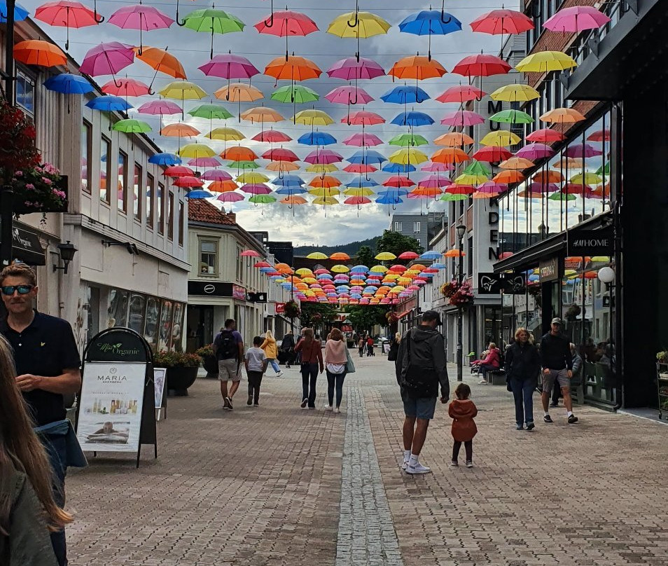 Skansen Svingbru-特隆赫姆必去景点