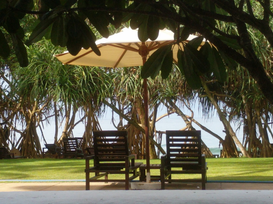 坦普尔树温泉度假村主图