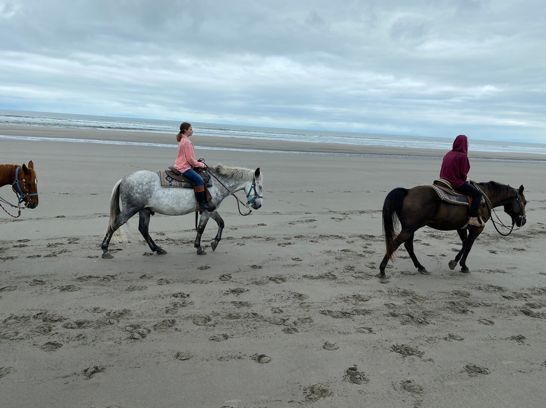 West Coast Horse Rides-长滩必去景点