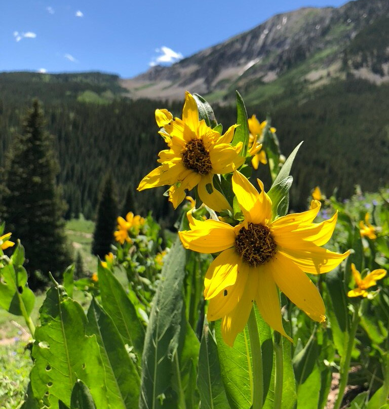 Three Rivers Resort主图