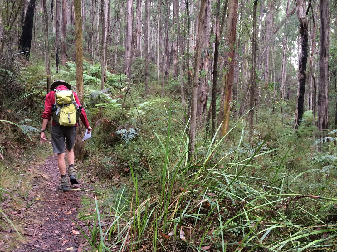 Bunyip State Park-Gembrook必去景点
