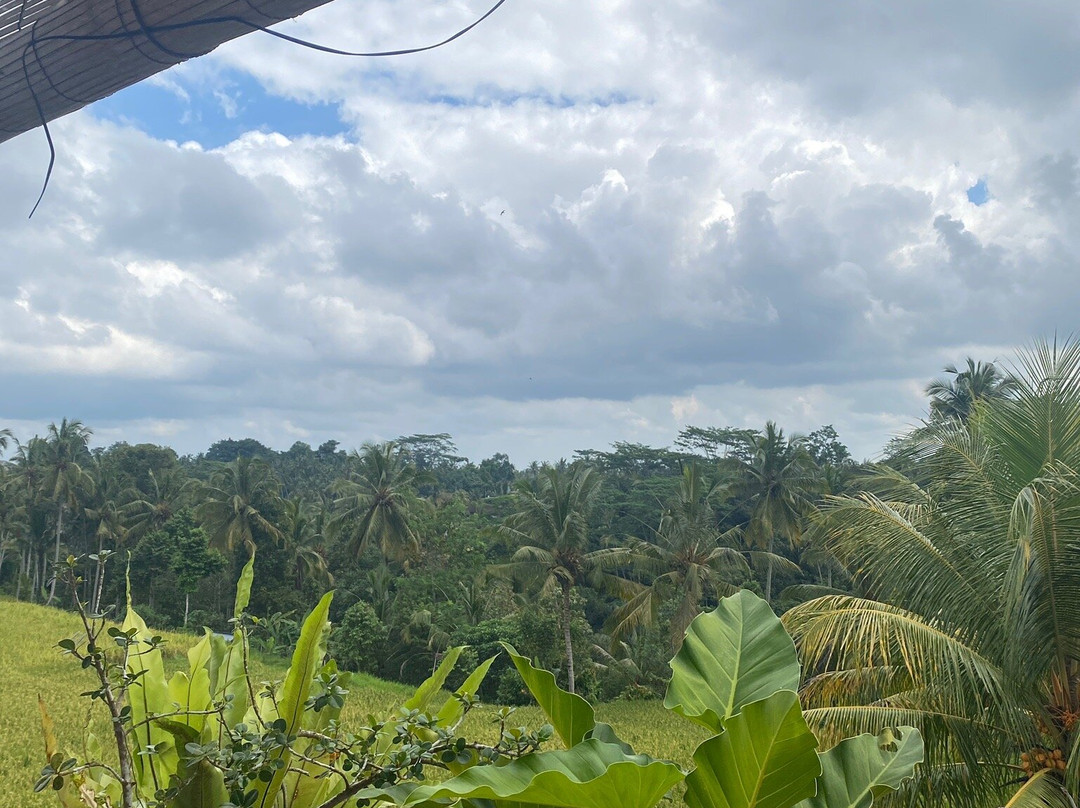 杜古村家庭旅馆主图