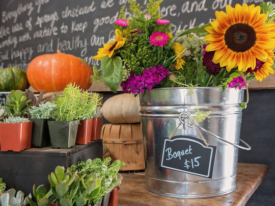 Folded Hills Farmstead-戈利塔必去景点