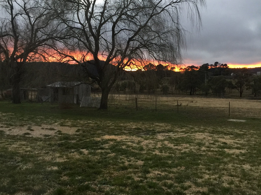 利特高殖民地汽车旅馆主图