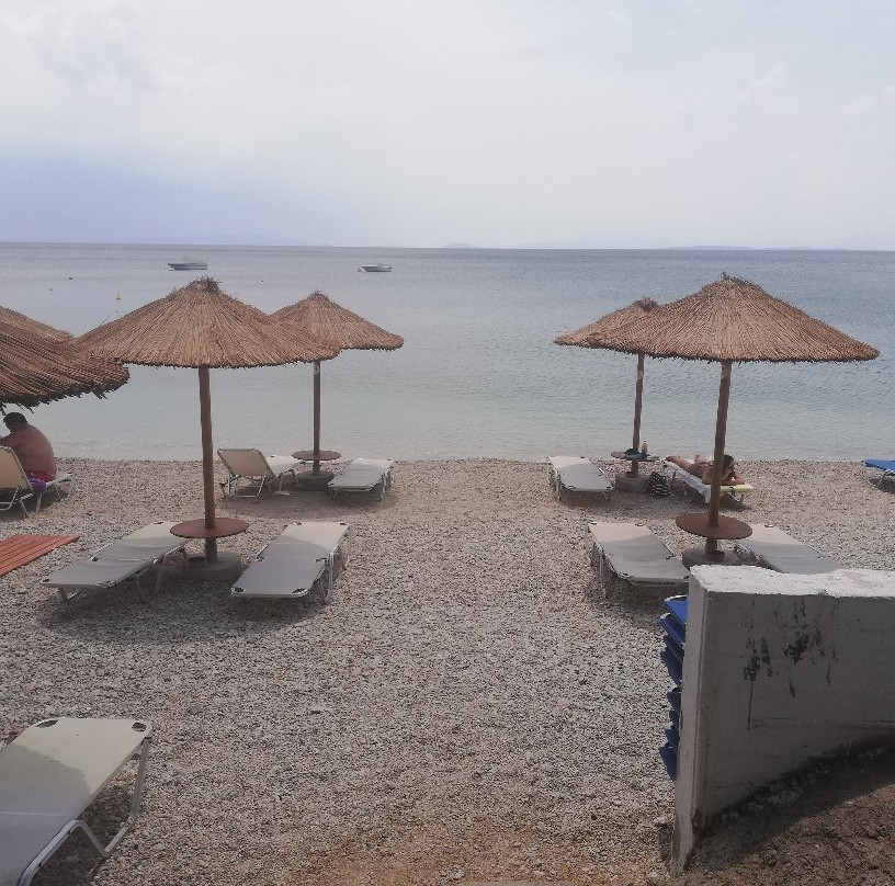 Skiron Studios主图