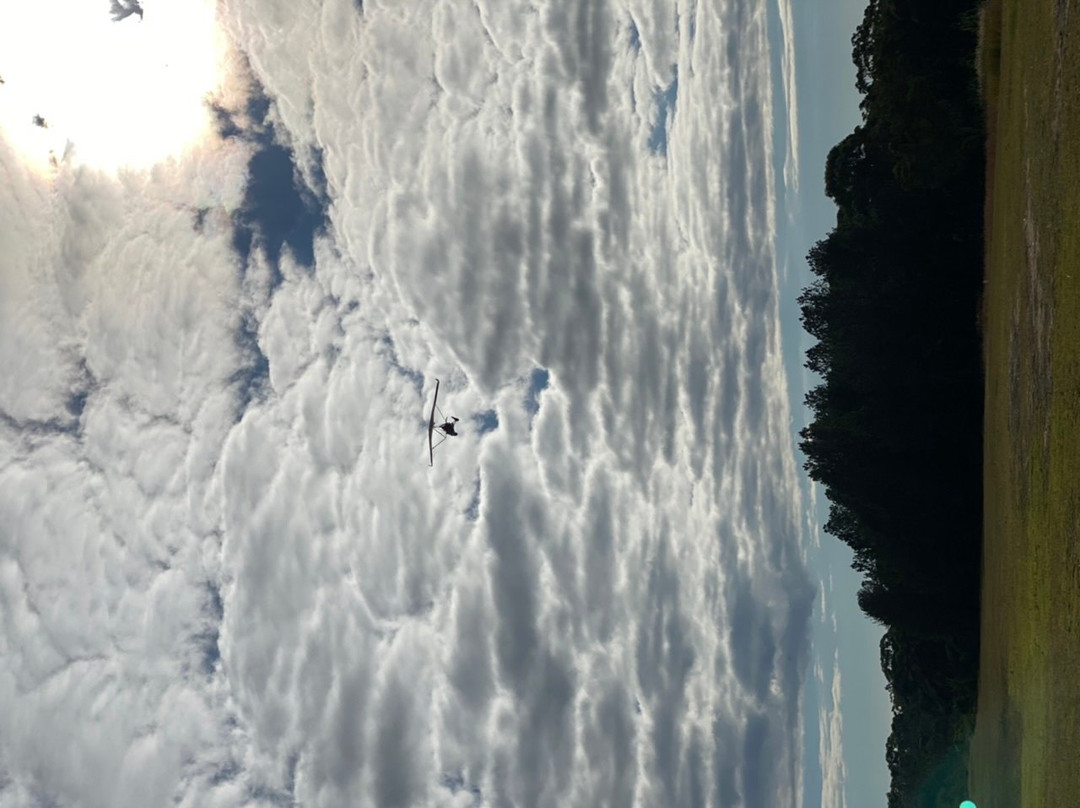 Microlight Adventures景点图片