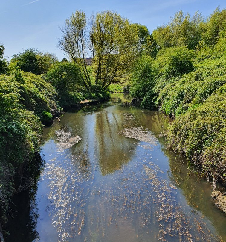 Lime Tree Woods-诺斯利必去景点