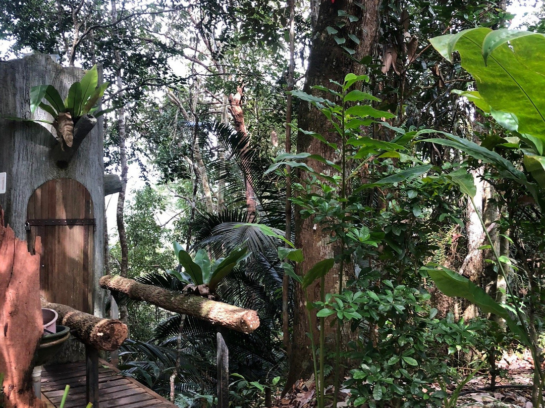 Monkey Cup-槟城岛必去景点