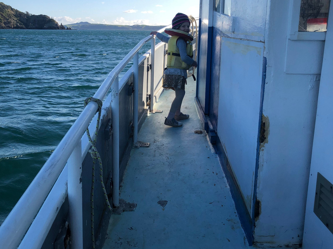 Fishing Waiheke - Day Tours-怀系奇岛必去景点