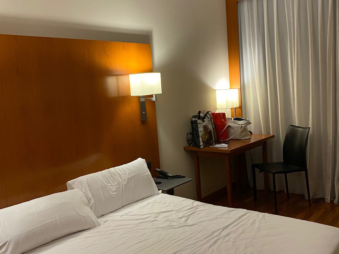 H2格拉纳达酒店主图