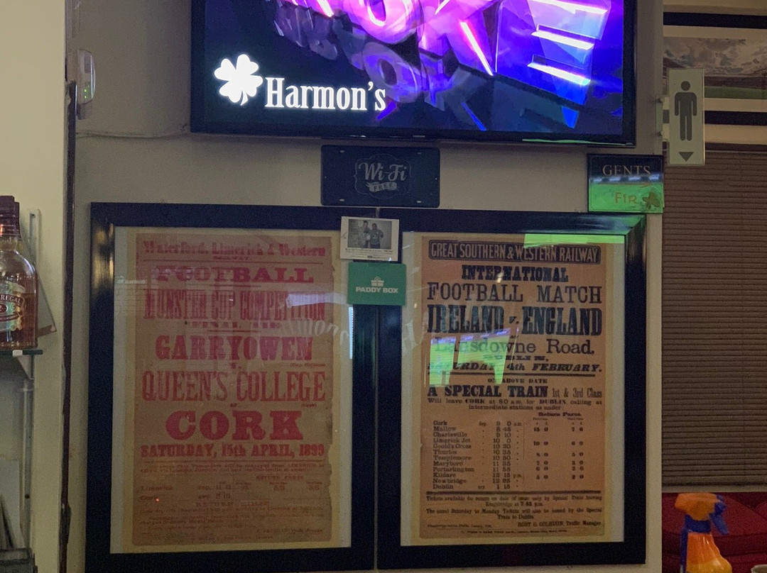 Harmons Bar Elviria-马贝拉必去景点