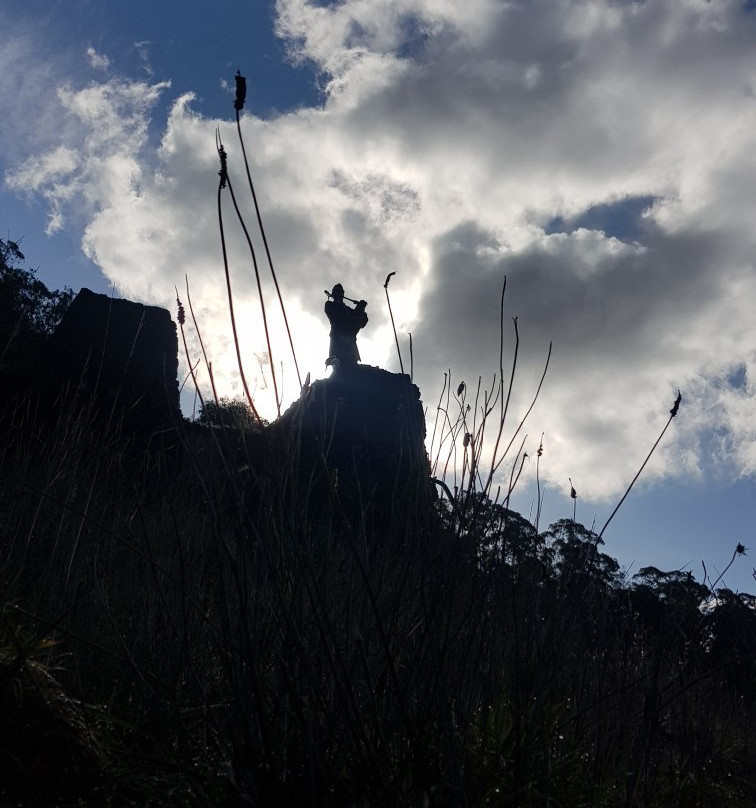 Wild Cherry B&B主图