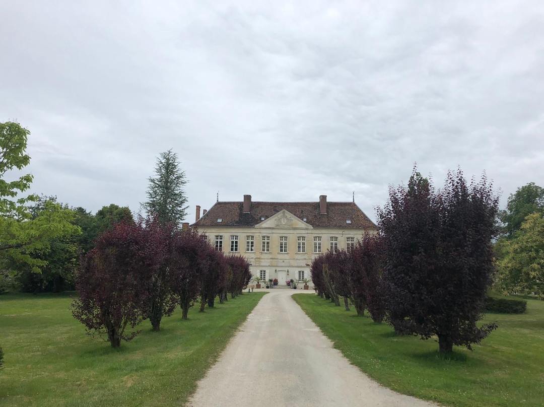 Chateau de Brantigny主图