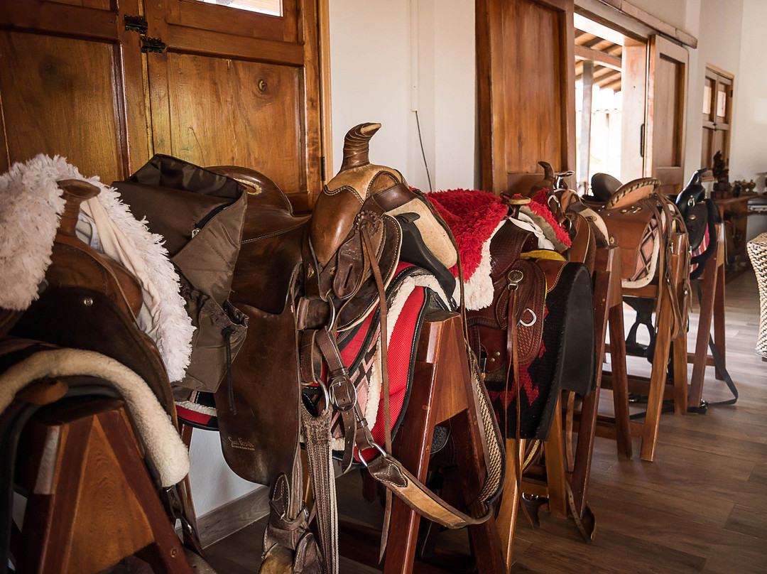 Finca Eco Hotel Nativo主图