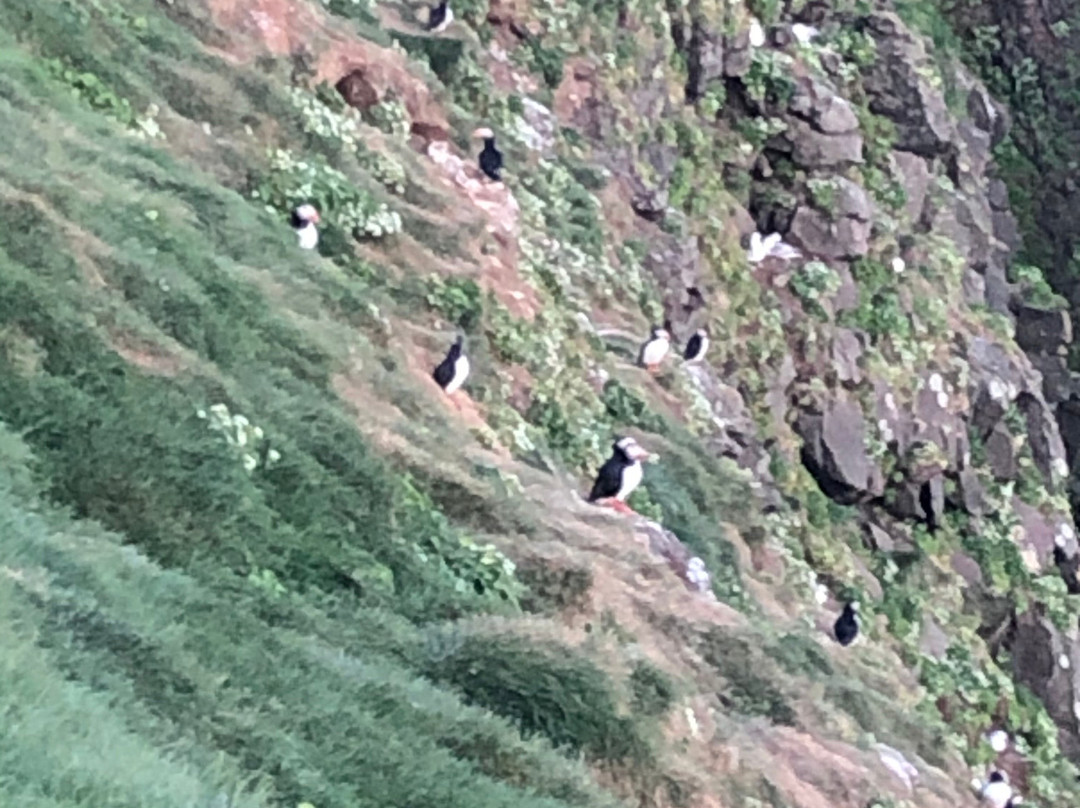 Guesthouse Basar主图