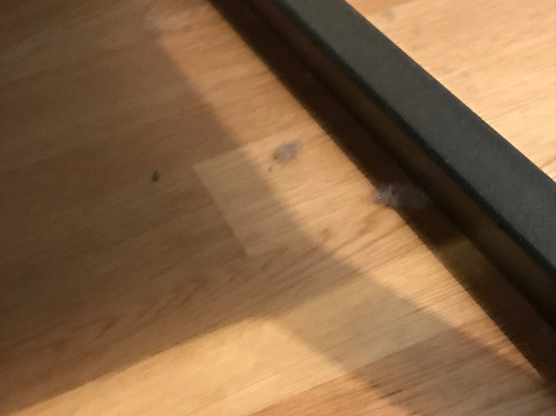 玛瑞纳酒店主图