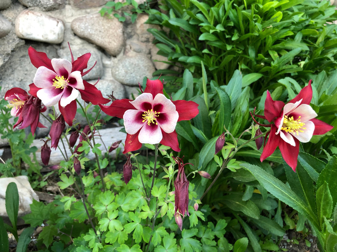 The Inn at Ellsworth Estate主图