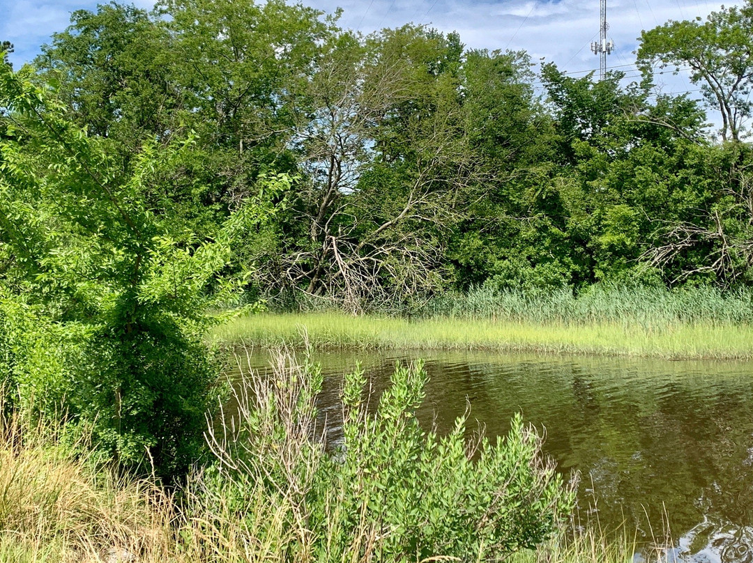 Elizabeth River Park景点图片