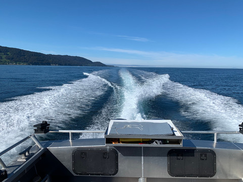 Central Charters and Tours-荷马必去景点