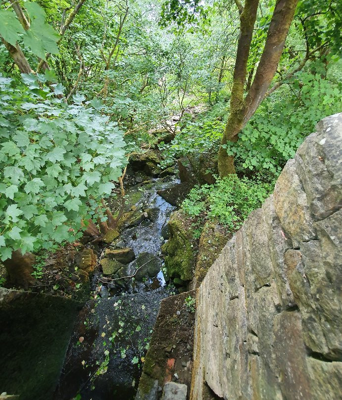Greenbooth Reservoir景点图片