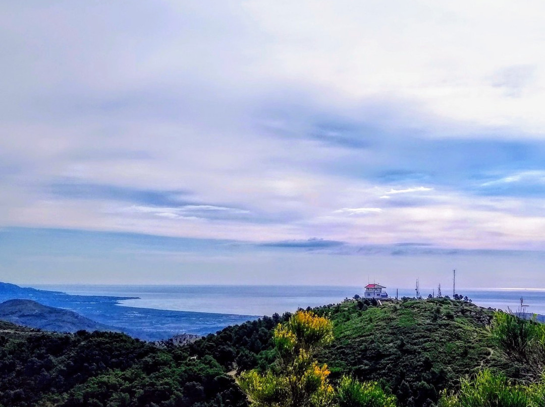 Parque Natural Del Desierto De Las Palmas景点图片