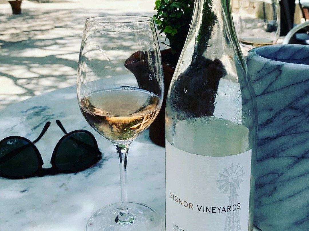 830 Elevated Wine Tours-弗雷德里克斯堡必去景点