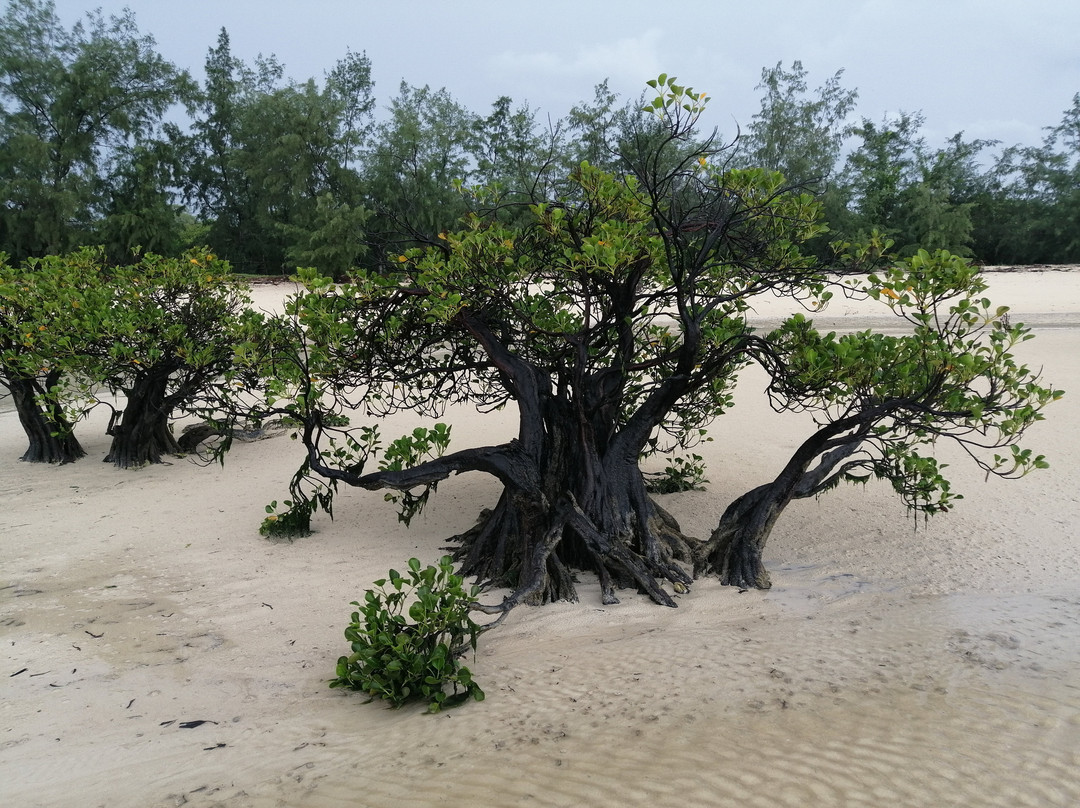 Tanaraing旅游攻略图片