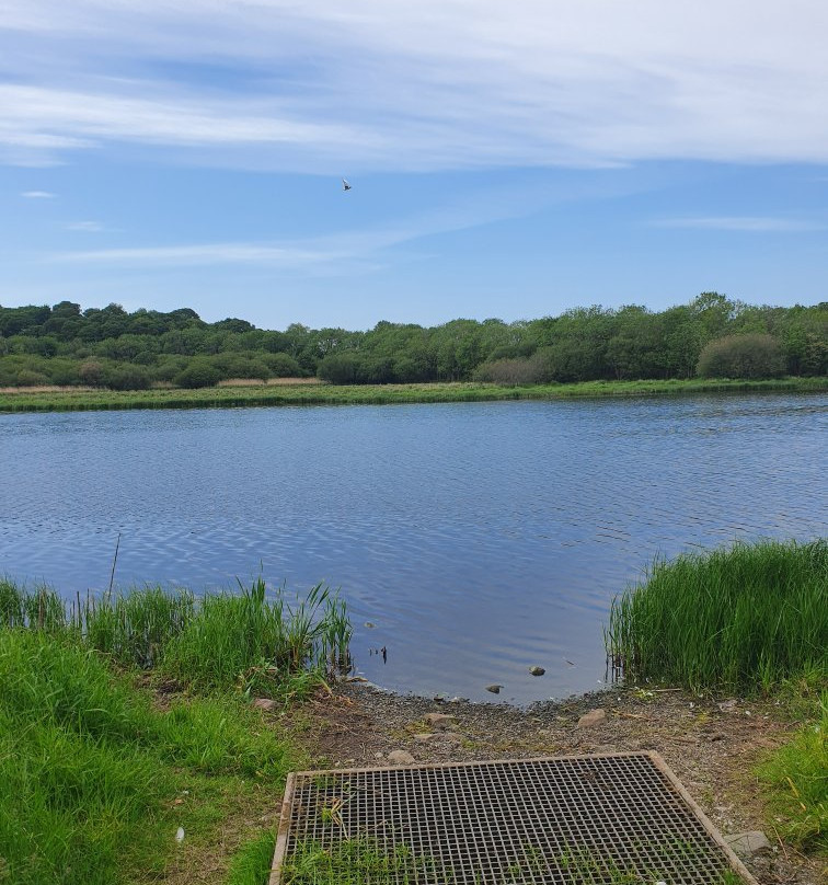 Quoile Pondage Nature Reserve景点图片