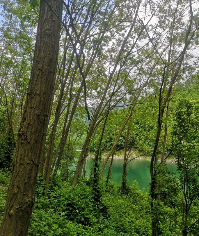 Lago di Osiglia-Osiglia必去景点