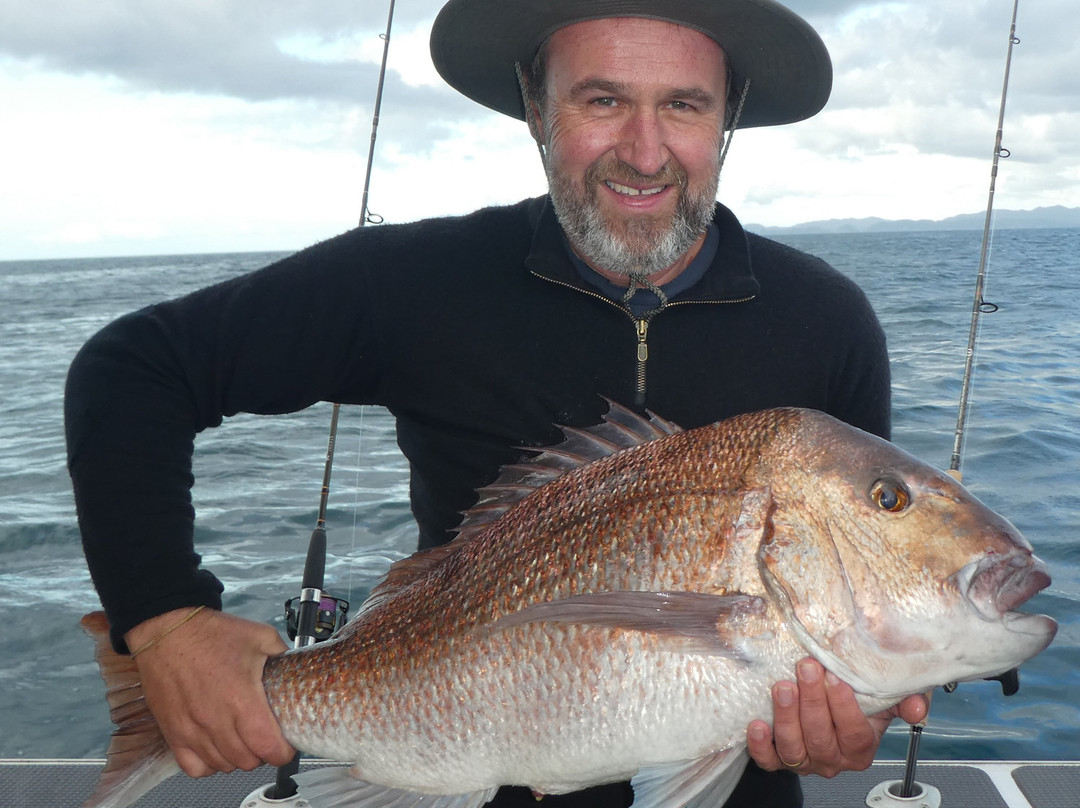 Northside Adventures-奥克兰中心地区必去景点