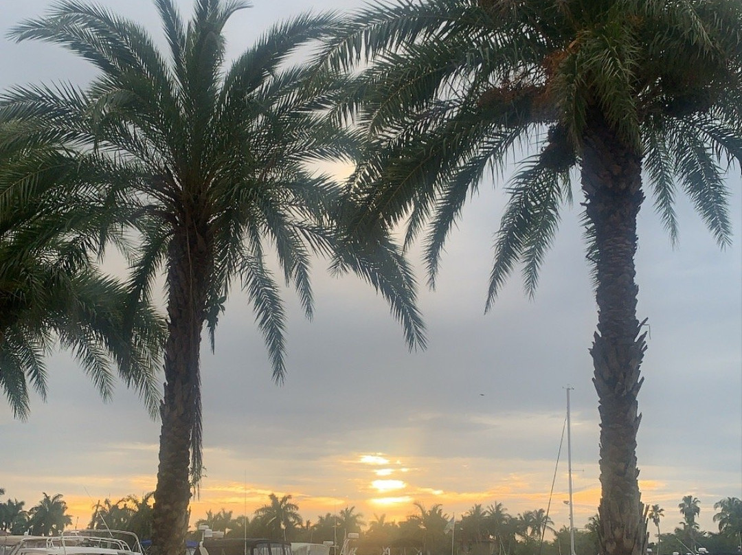 Tarpon Point Marina-开普科勒尔必去景点