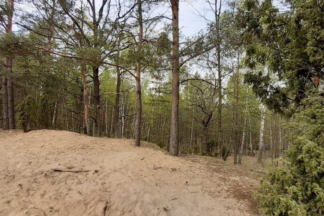 Kampinoski Park Narodowy-Izabelin必去景点