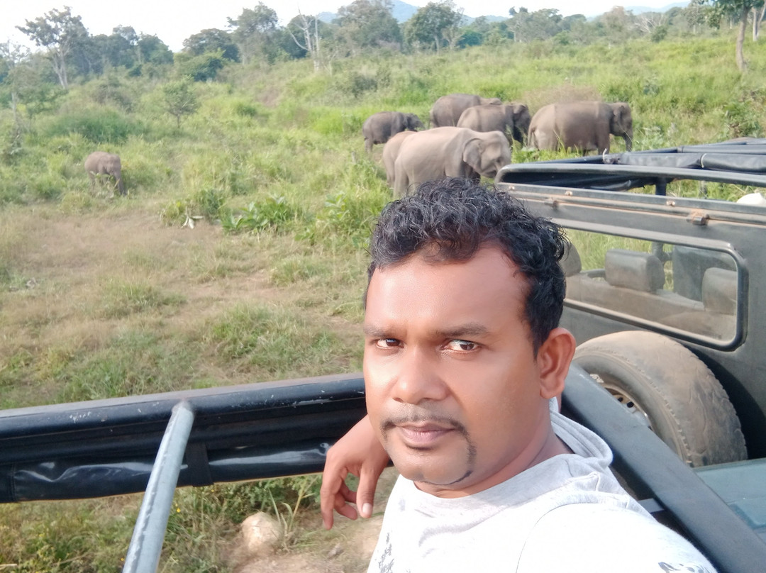 Dambulla Taxi-丹布拉必去景点