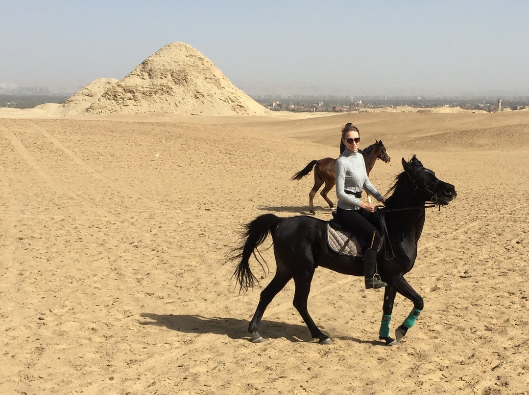 Egypt Horse Riding & Photography-开罗必去景点