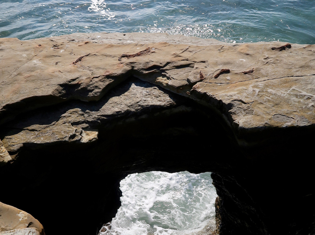 Cabrillo Tide Pools-圣地亚哥必去景点