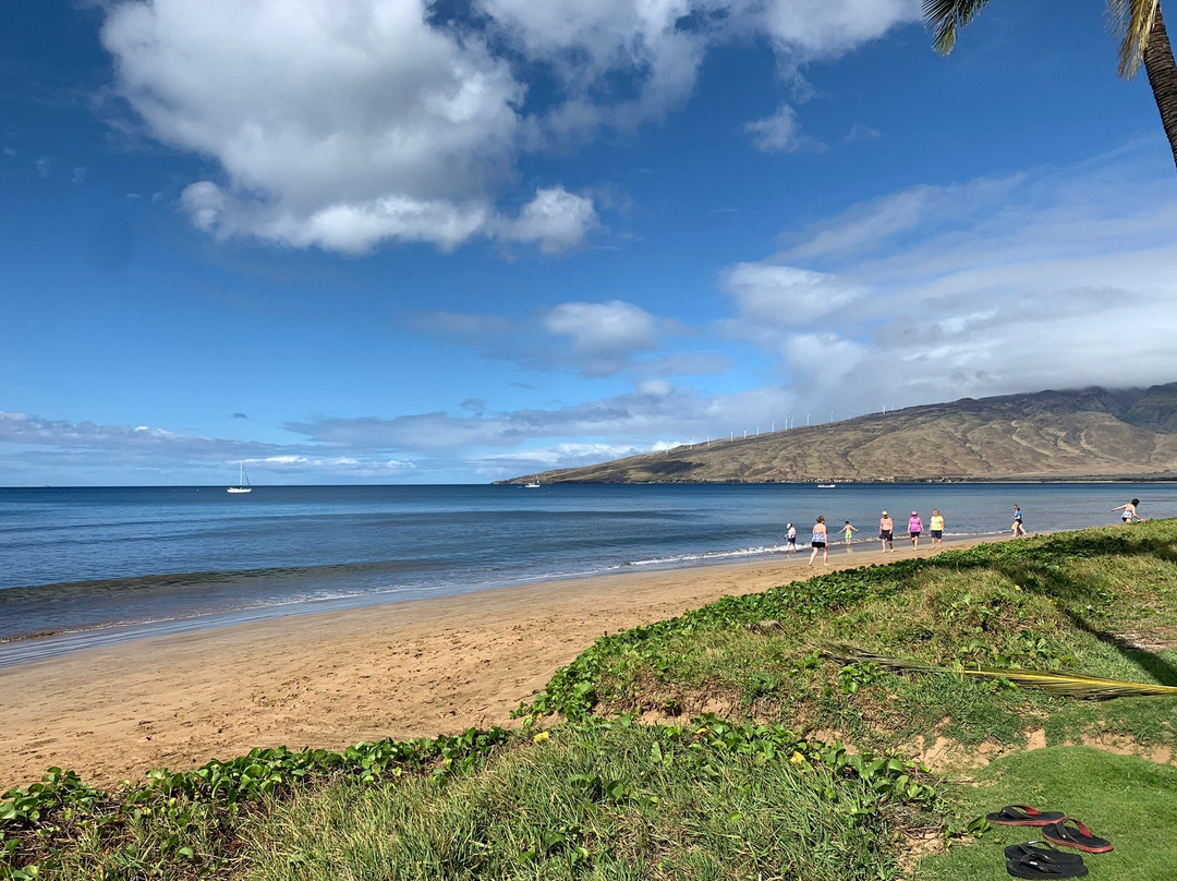 Sugar Beach-基黑必去景点