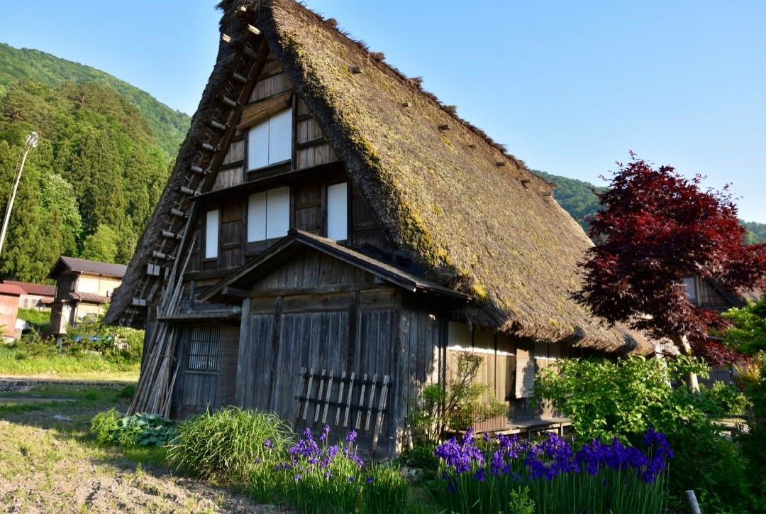 Shirakawago Gassho Culture Hall (Old Matsui Family House)-白川村必去景点