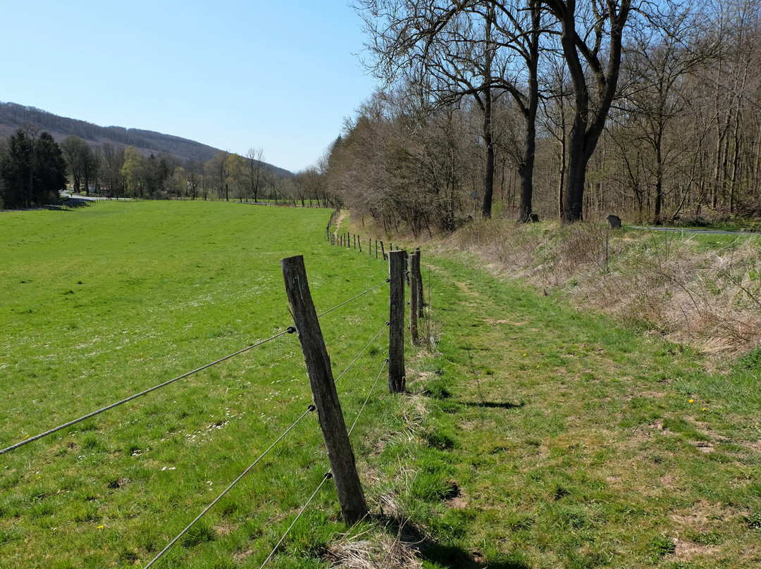 Naturschutzgebiet "Reitlingstal"景点图片