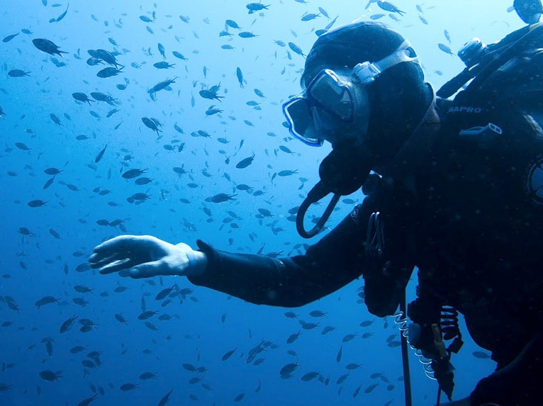 AixPlo Aix-en-Provence Plongée-普罗旺斯必去景点