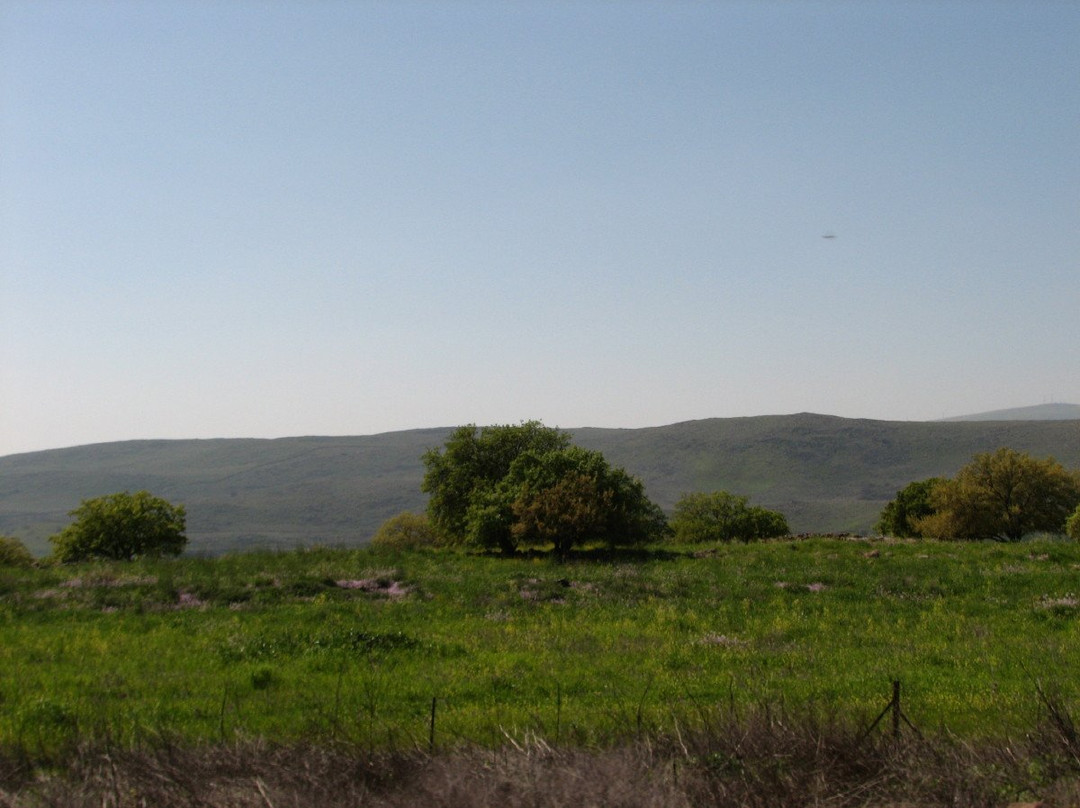 Nahal El Al-Avnei Eitan必去景点