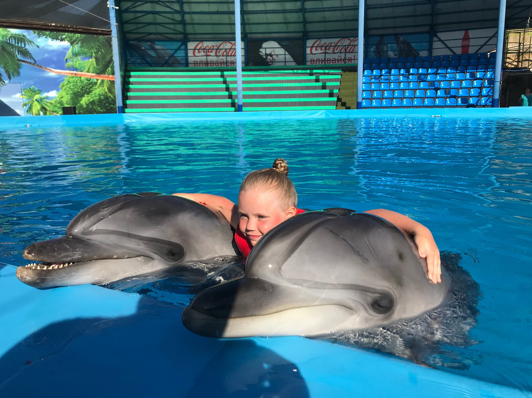 Dolphinarium景点图片