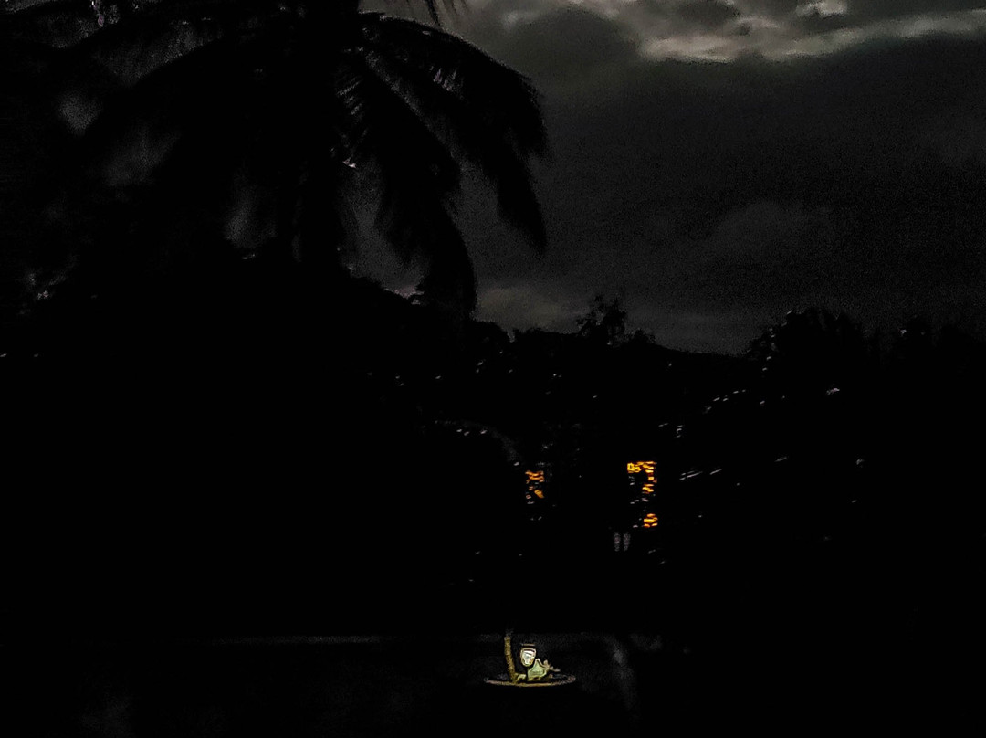 Essence Guesthouse主图