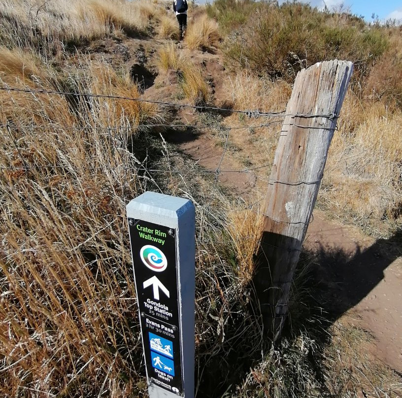 Bridle Path-基督城必去景点