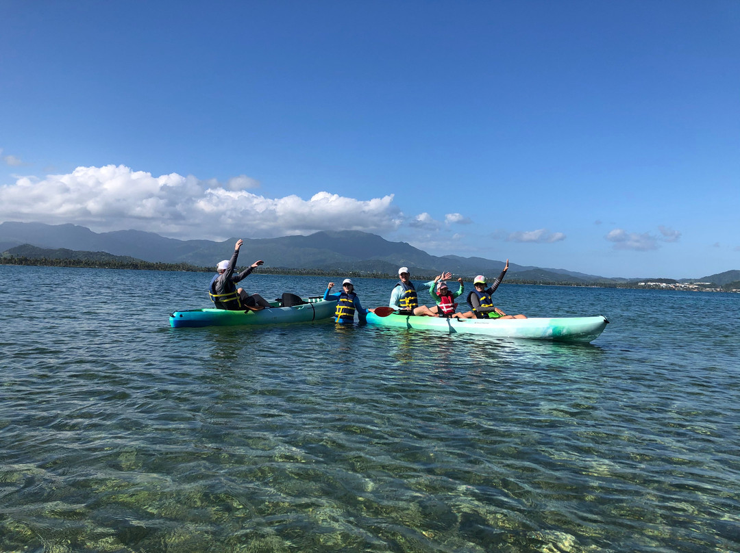 Barefoot Travelers Kayak Tour to Monkey Island景点图片