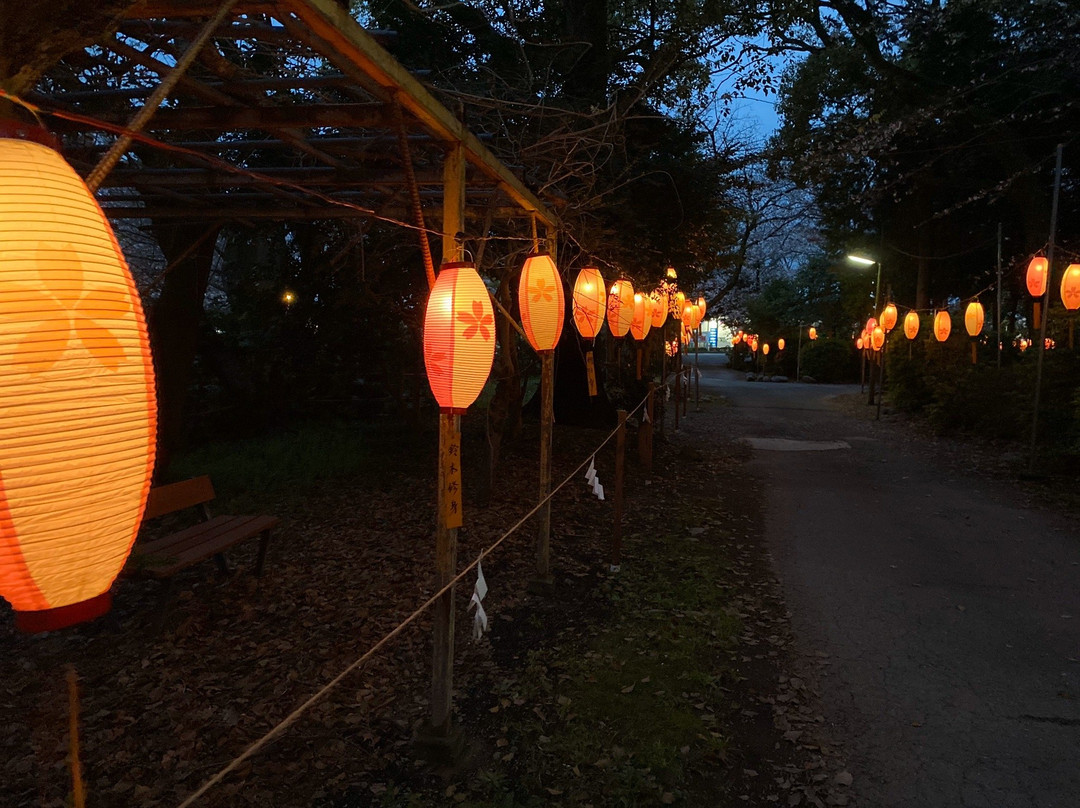 Yonenomiya Sengen Shrine景点图片