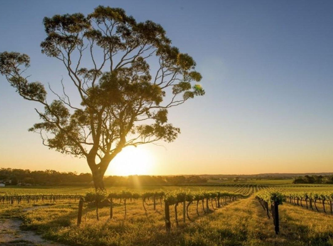 Yarra Travel Junction