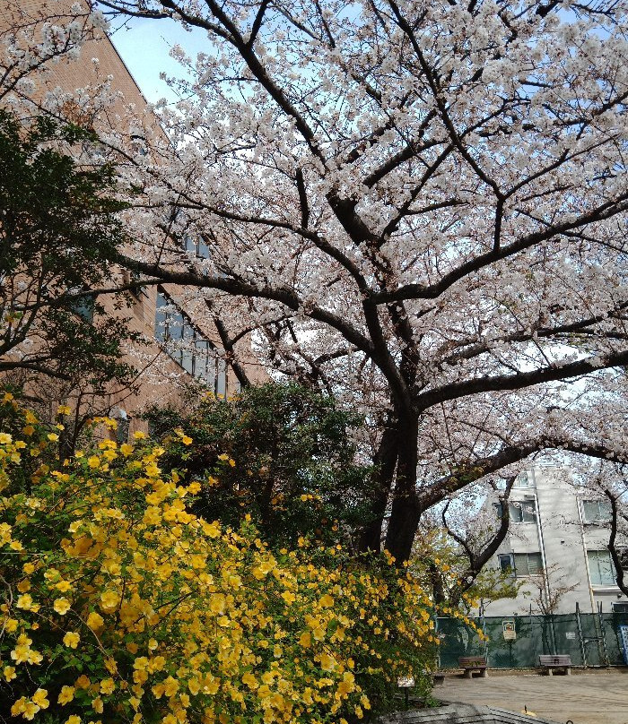 Komagome Park-Komagome必去景点