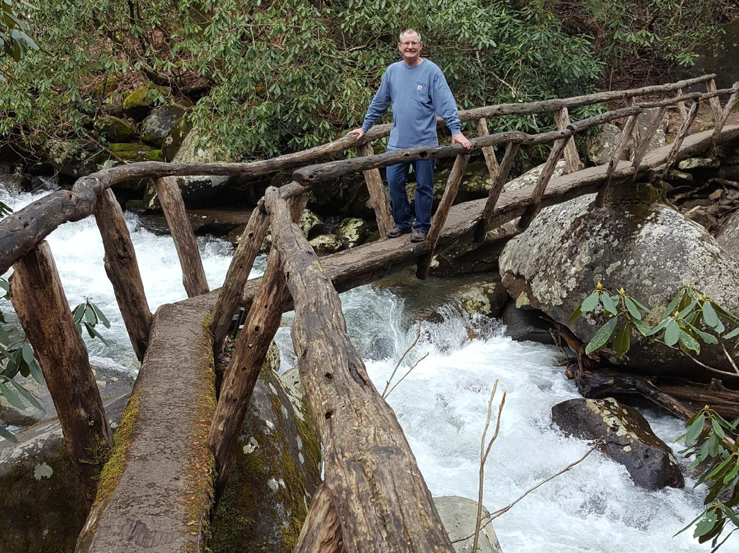 Porters Creek Trail-大雾山国家公园必去景点