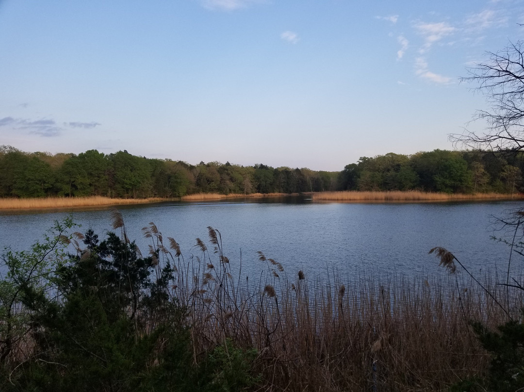 Fairfield Lake State Park景点图片